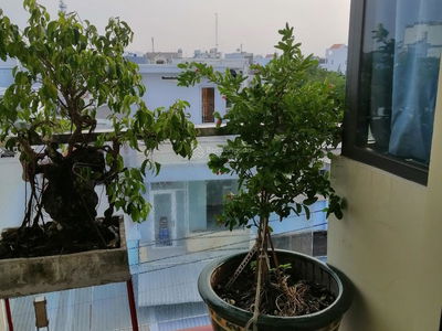 Gehäuse In Nha Be, Vietnam Gehäuse In Nha Be, Vietnam