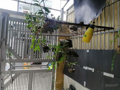 Gehäuse In Nha Be, Vietnam Gehäuse In Nha Be, Vietnam