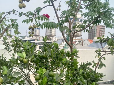 Gehäuse In Di An, Vietnam Gehäuse In Di An, Vietnam