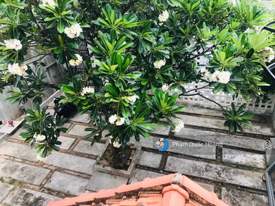 Alojamiento en Nha Trang, Vietnam Alojamiento en Nha Trang, Vietnam